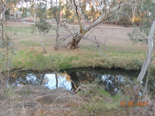 River Torrens in Adelaide